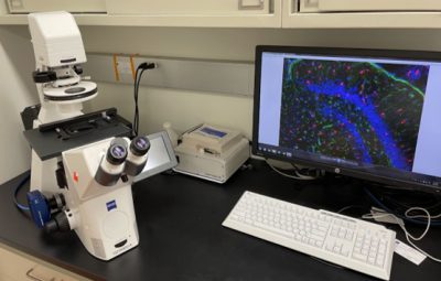 Histology Room Microscope